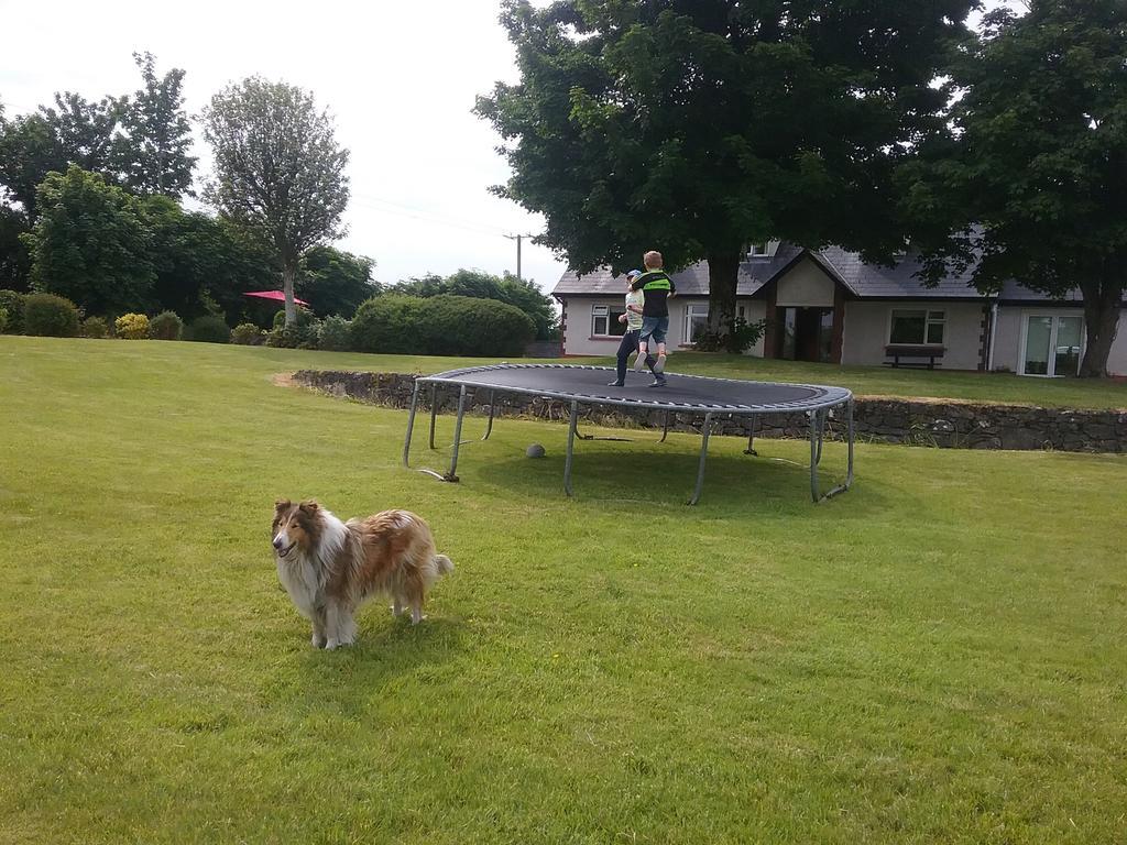 Rocksberry Bed & Breakfast Castlebar Buitenkant foto