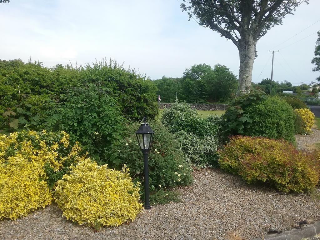 Rocksberry Bed & Breakfast Castlebar Buitenkant foto