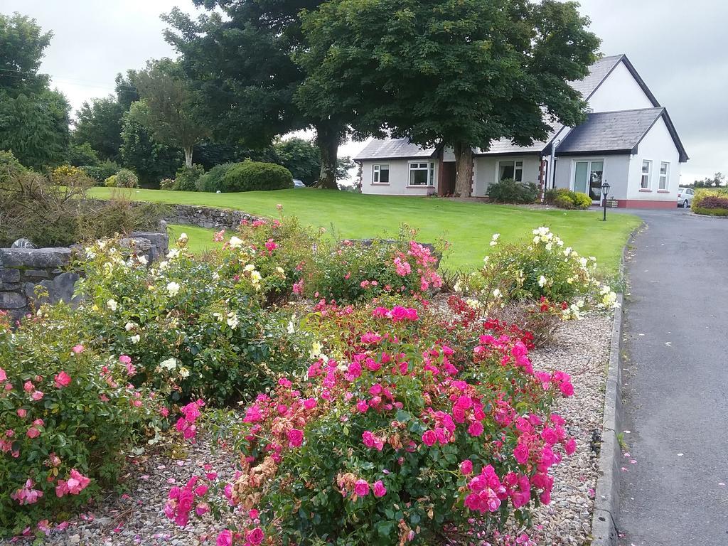 Rocksberry Bed & Breakfast Castlebar Buitenkant foto