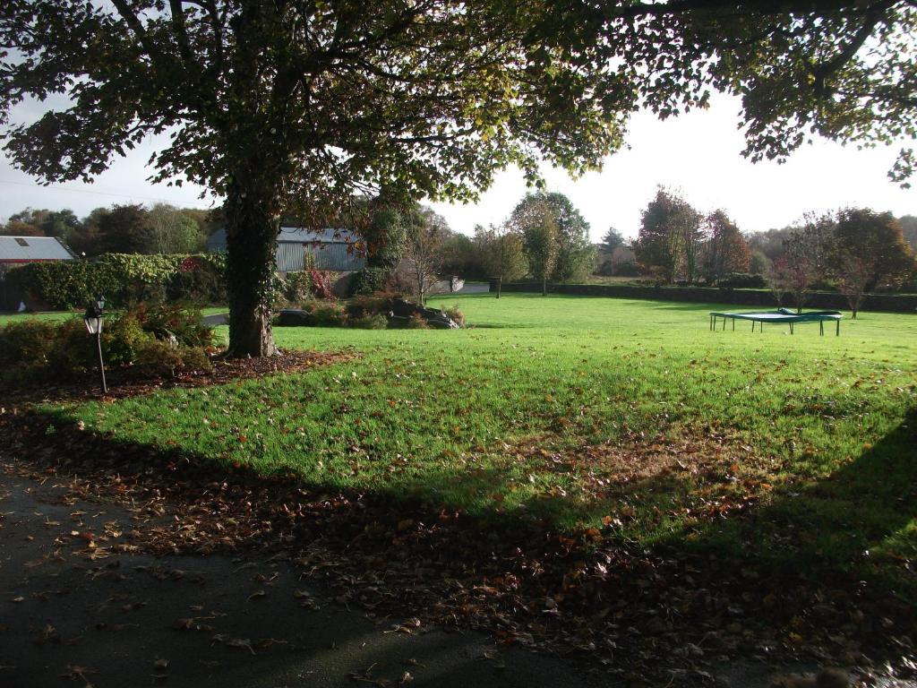 Rocksberry Bed & Breakfast Castlebar Buitenkant foto